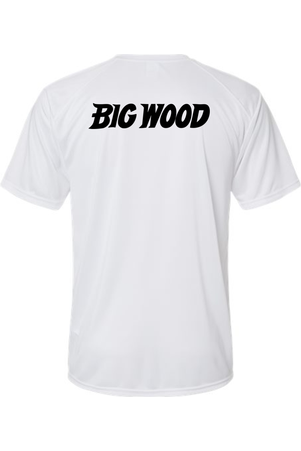 Big Wood Baseball Performance Tee