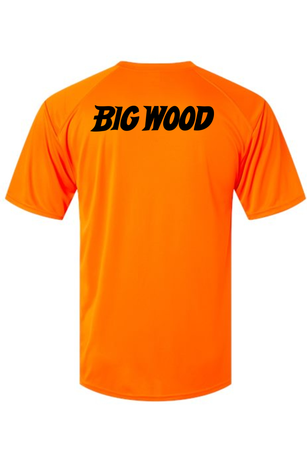 Big Wood Baseball Performance Tee