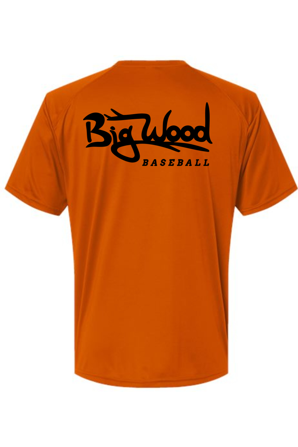 Big Wood Outdoor Performance Tee