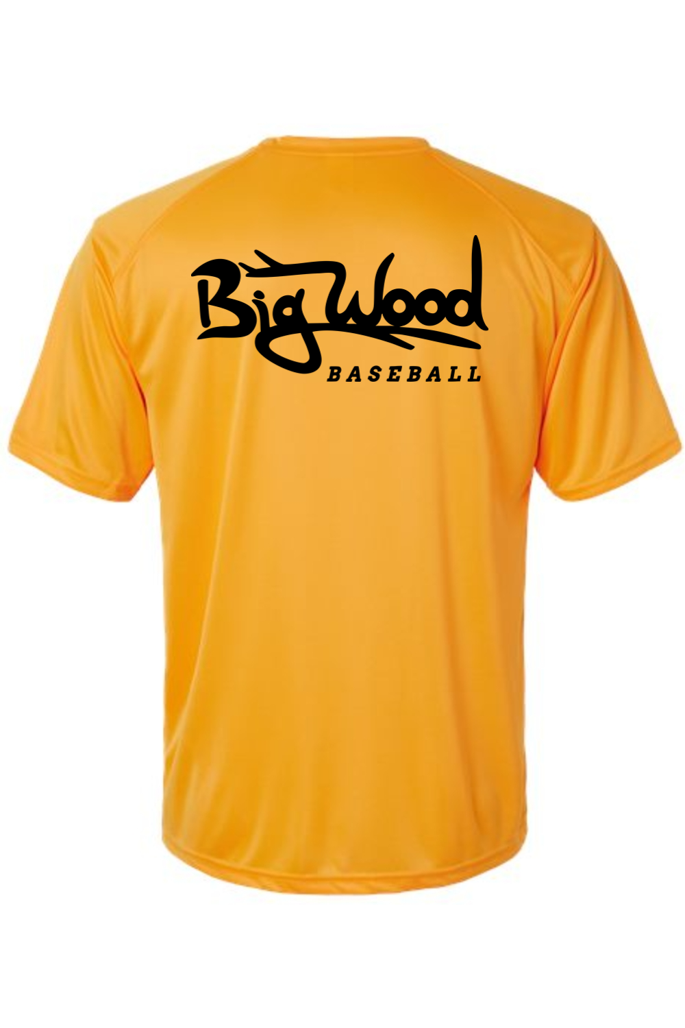Big Wood Outdoor Performance Tee