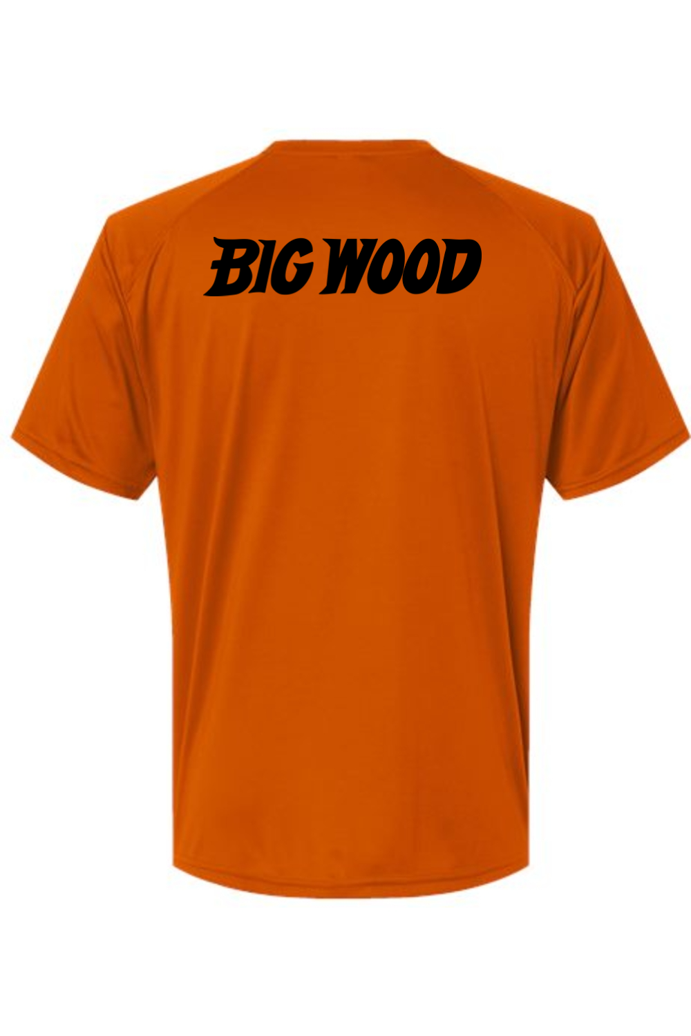 Big Wood Baseball Performance Tee