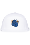 Home Plate Perforated Hat
