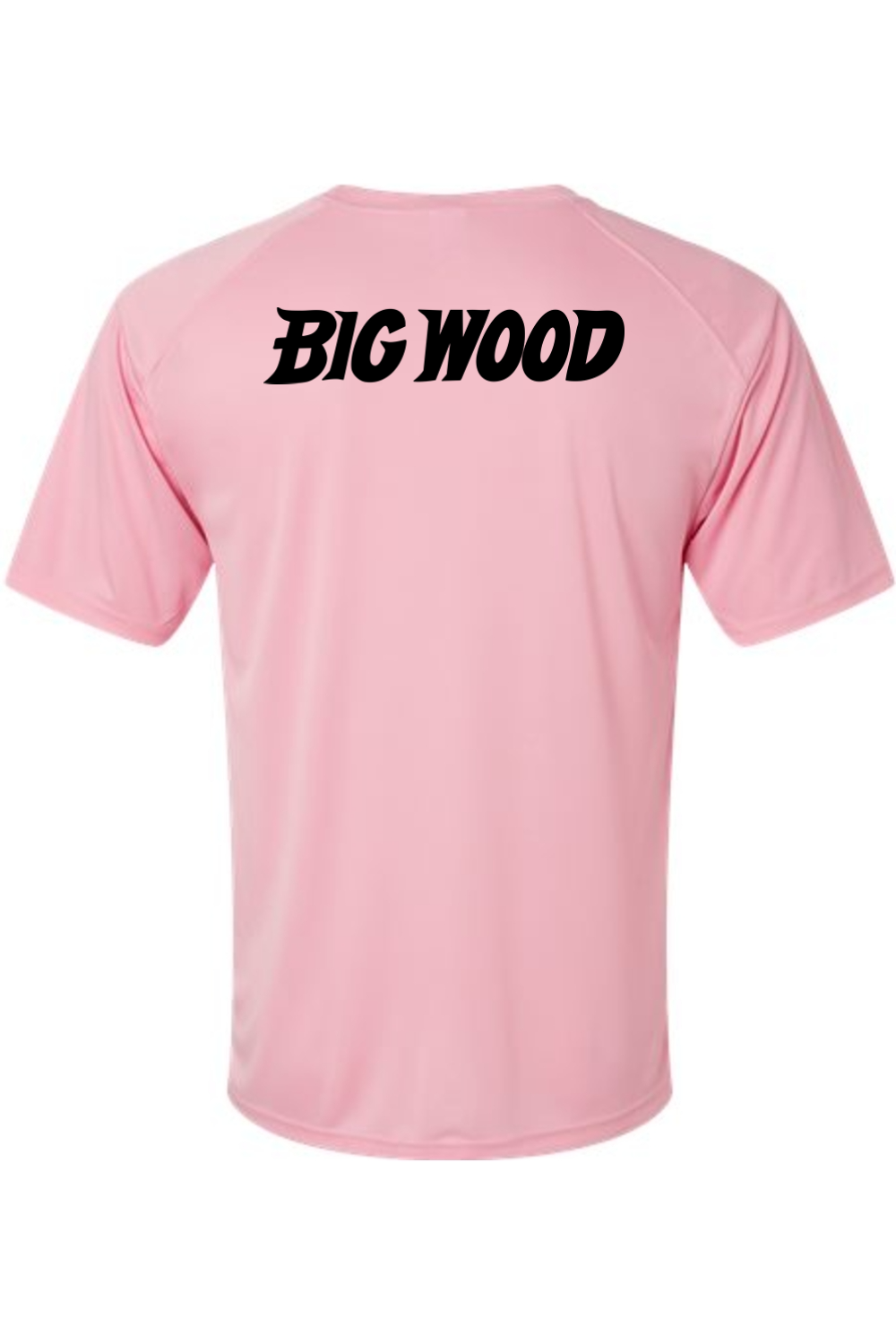 Big Wood Baseball Performance Tee