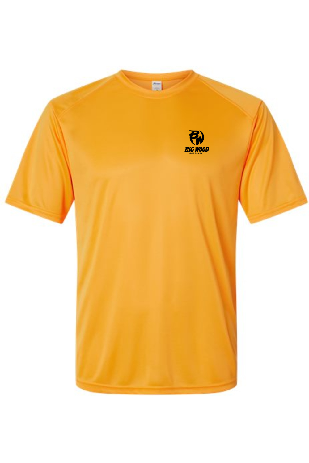 Big Wood Baseball Performance Tee