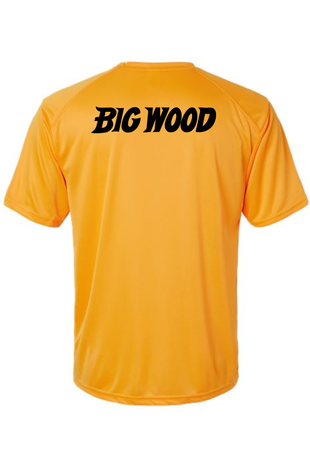 Big Wood Baseball Performance Tee