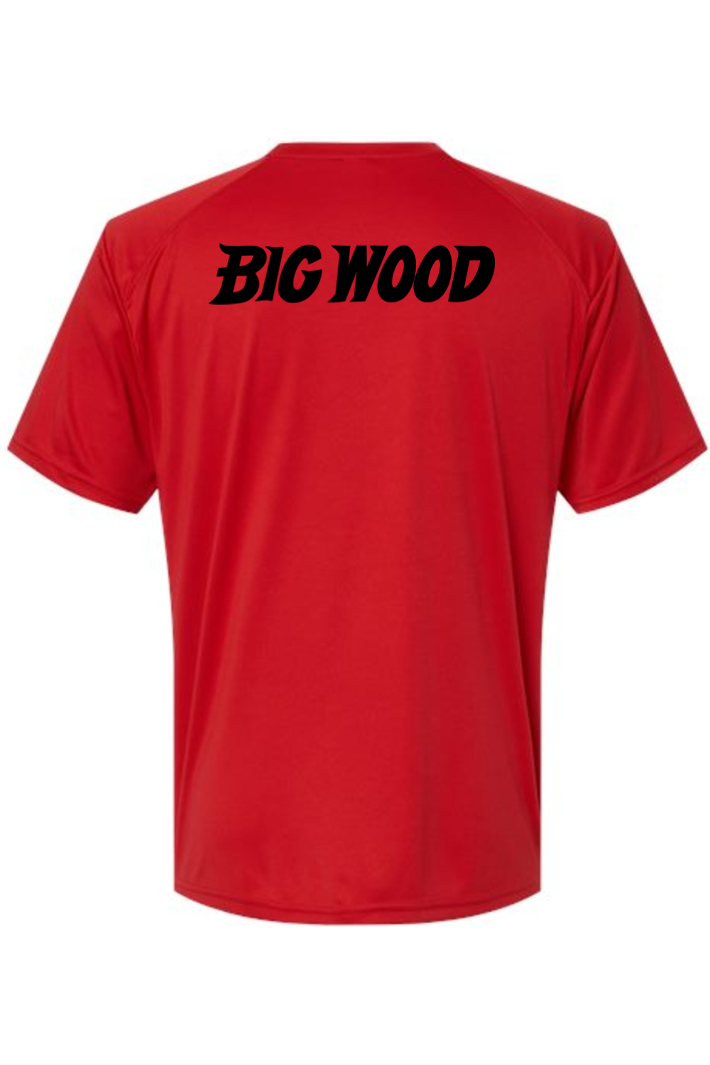 Big Wood Baseball Performance Tee